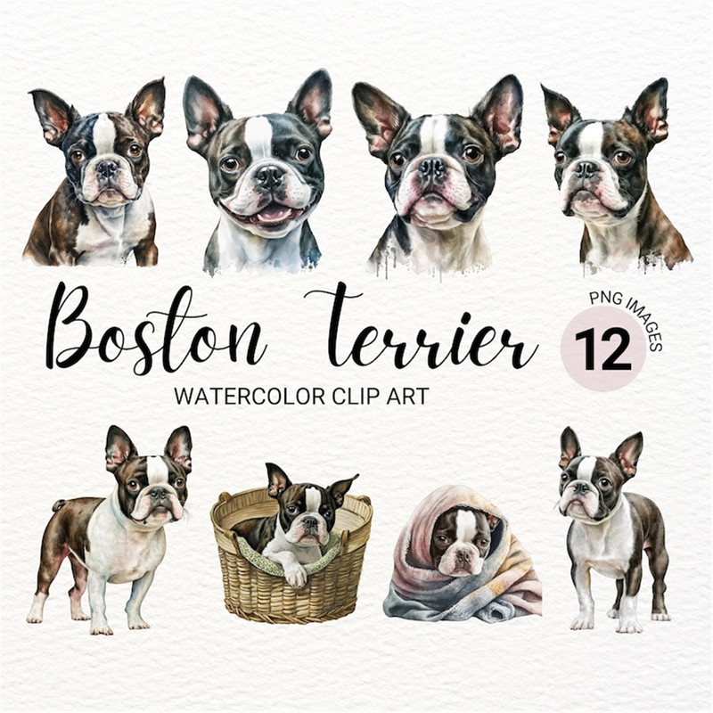MR-2772023152140-boston-terrier-clipart-dog-png-watercolor-dog-clipart-image-1.jpg