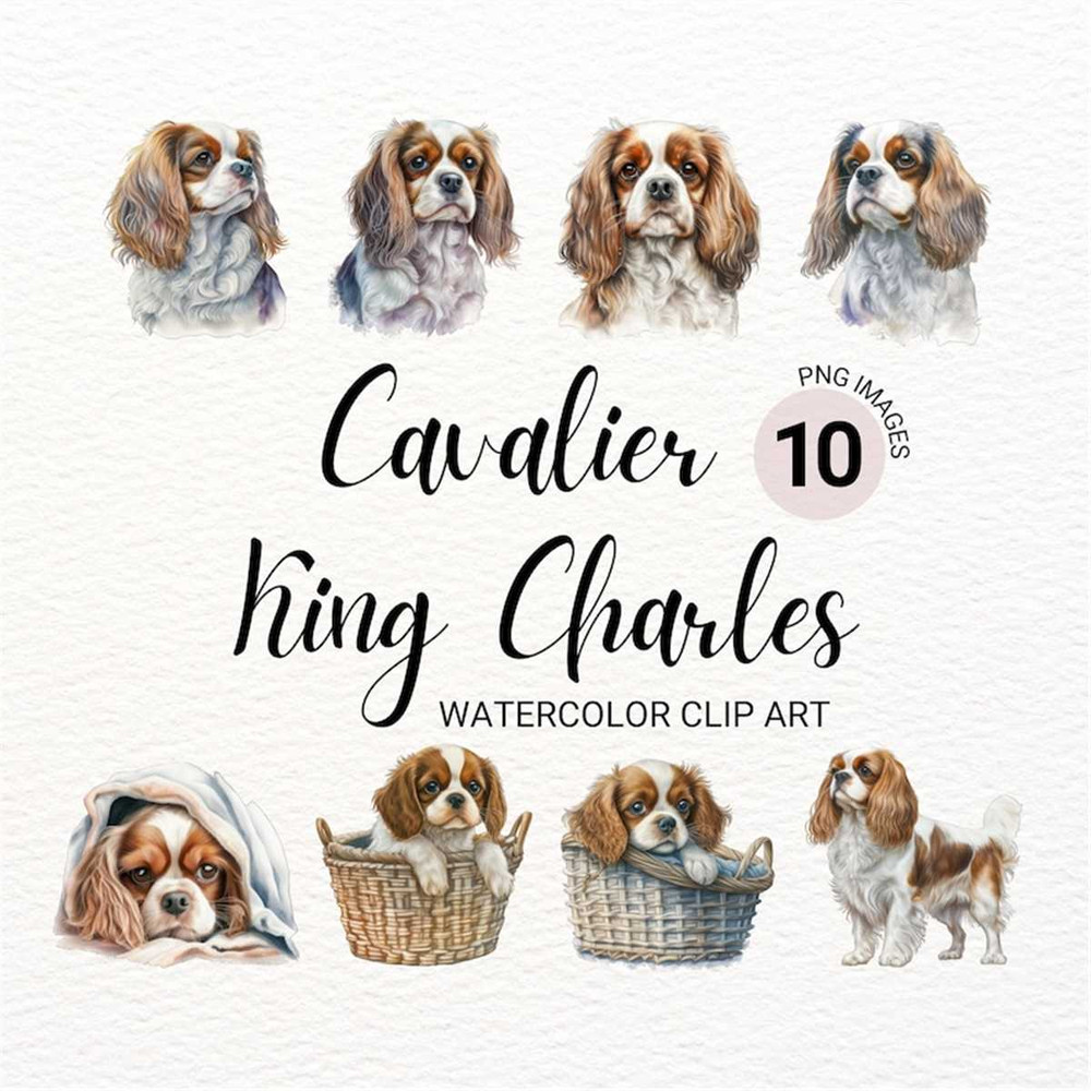 MR-277202315234-cavalier-king-charles-clipart-cute-dog-clipart-dog-png-image-1.jpg