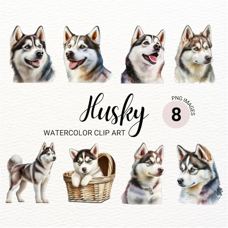 MR-2772023152315-siberian-husky-clipart-husky-dog-png-watercolor-dog-image-1.jpg