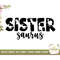 MR-277202315254-sister-saurus-svg-t-rex-big-sister-dinosaur-birthday-svg-image-1.jpg