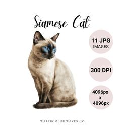 siamese cat jpg | watercolor siamese cat clipart bundle | cute pet portrait | kitten jpg | junk journal | digital planne