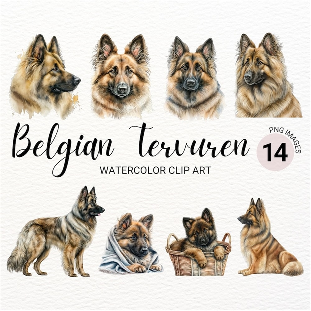 MR-2772023152519-belgian-tervuren-clipart-dog-png-watercolor-dog-clipart-image-1.jpg