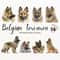 MR-2772023152519-belgian-tervuren-clipart-dog-png-watercolor-dog-clipart-image-1.jpg
