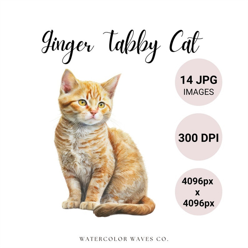 MR-2772023152554-ginger-tabby-cat-clipart-watercolor-tabby-cat-clipart-bundle-image-1.jpg