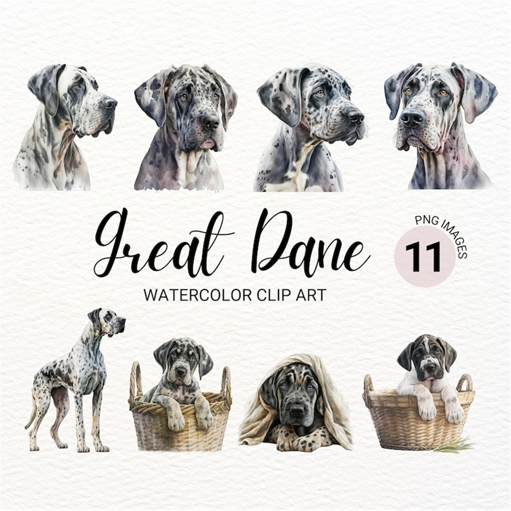 MR-277202315268-great-dane-clipart-dog-png-watercolor-dog-clipart-dog-image-1.jpg