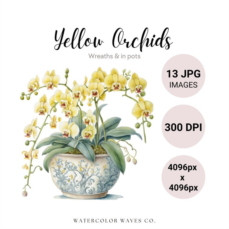 MR-2772023152659-yellow-orchids-clipart-bundle-watercolor-spring-flowers-jpg-image-1.jpg