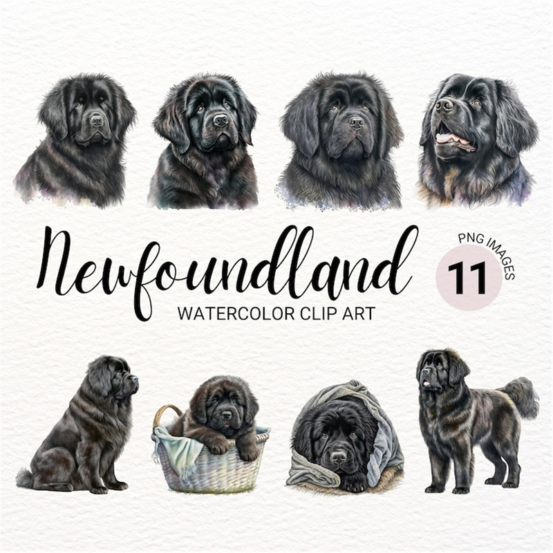 MR-277202315282-newfoundland-dog-png-watercolor-newfoundland-dog-clipart-image-1.jpg