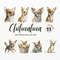 MR-2772023152922-chihuahua-clipart-dog-png-watercolor-dog-clipart-dog-image-1.jpg