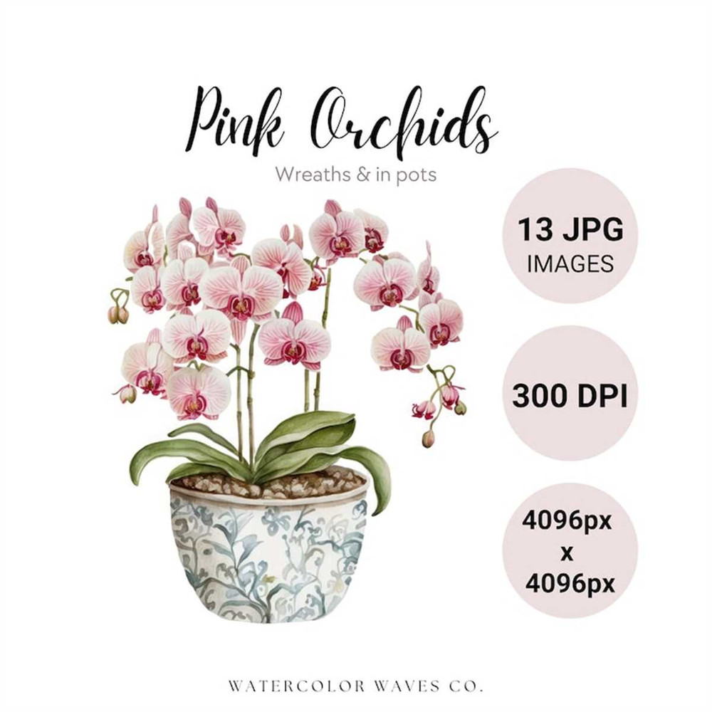 MR-2772023153132-pink-orchids-clipart-bundle-watercolor-spring-flowers-jpg-image-1.jpg