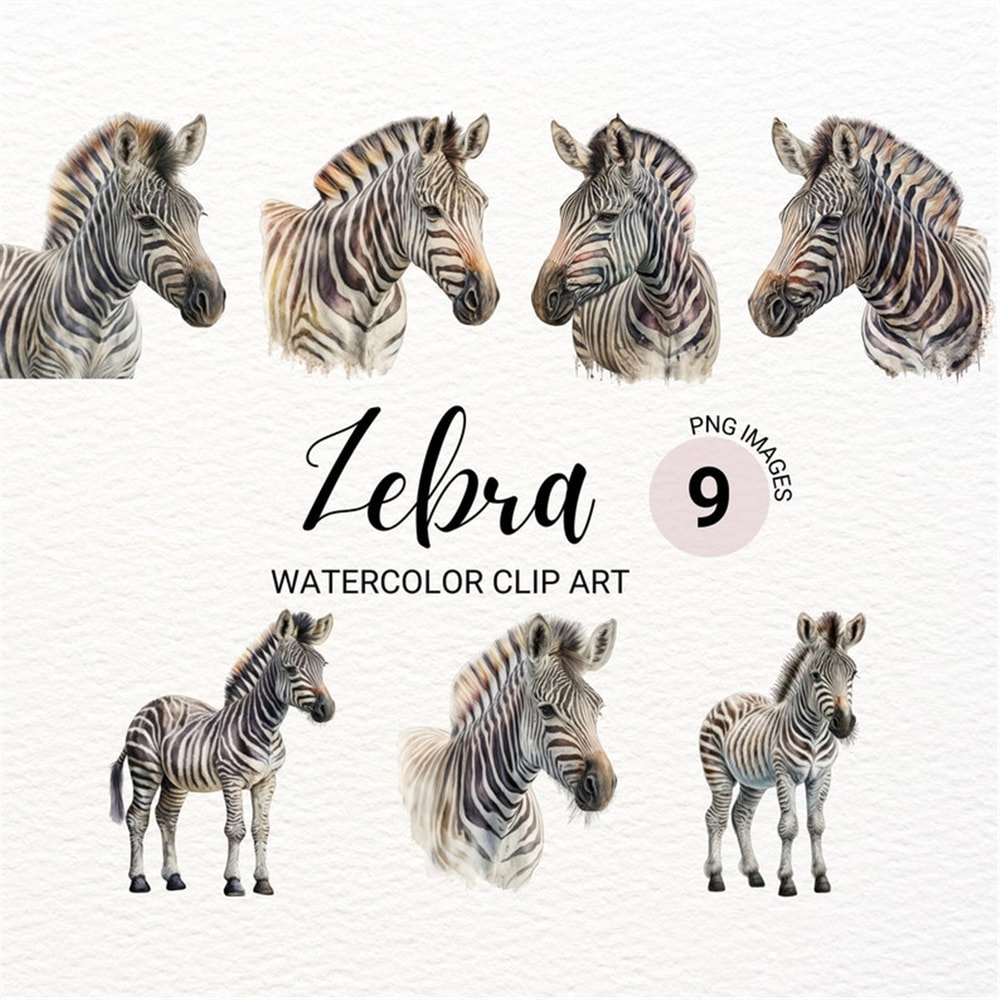 MR-2772023153145-zebra-clipart-watercolor-zebra-png-safari-animals-clipart-image-1.jpg
