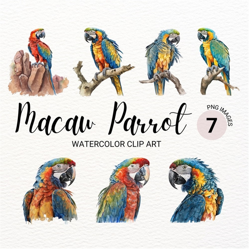 MR-277202315357-watercolor-macaw-parrot-clipart-bird-clipart-jungle-bird-image-1.jpg