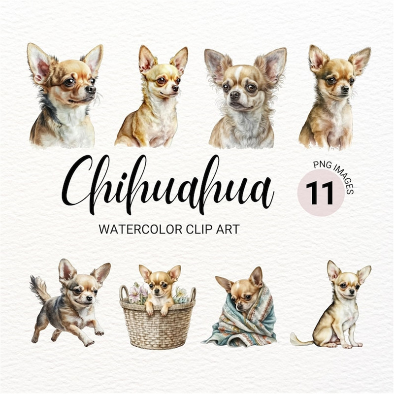 MR-277202315358-chihuahua-clipart-dog-png-watercolor-dog-clipart-dog-image-1.jpg