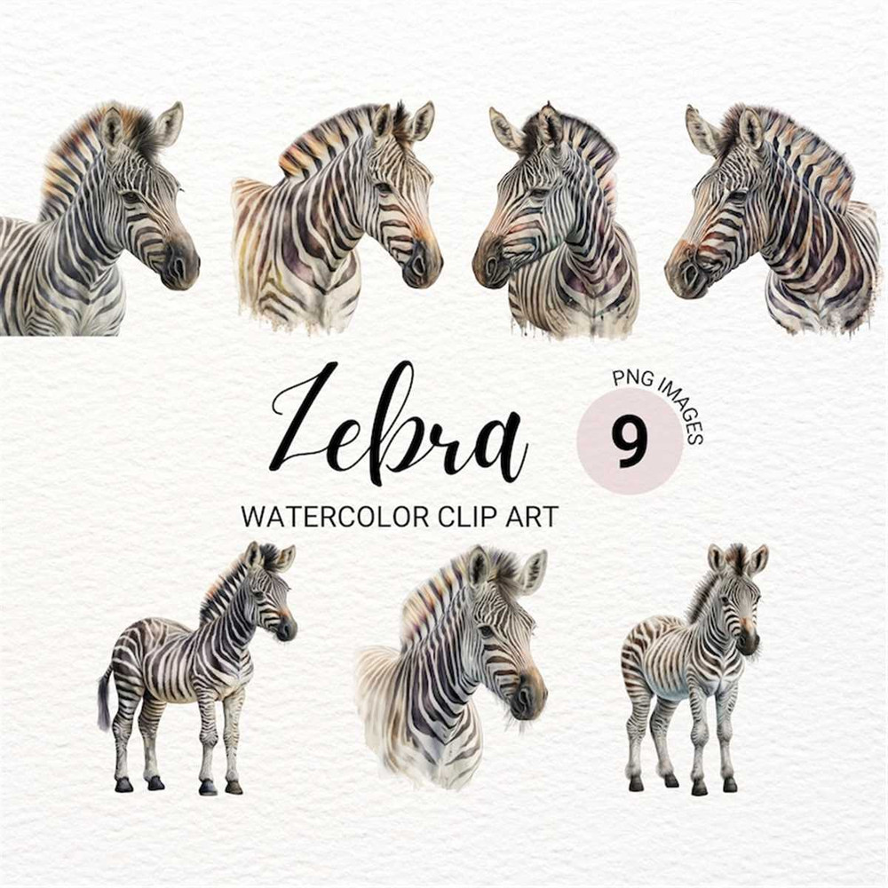 MR-2772023153529-zebra-clipart-watercolor-zebra-png-safari-animals-clipart-image-1.jpg