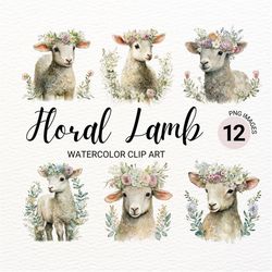 floral baby lamb clipart | floral spring lamb png | baby animals | nursery wall art | farm animals png | baby sheep | cu