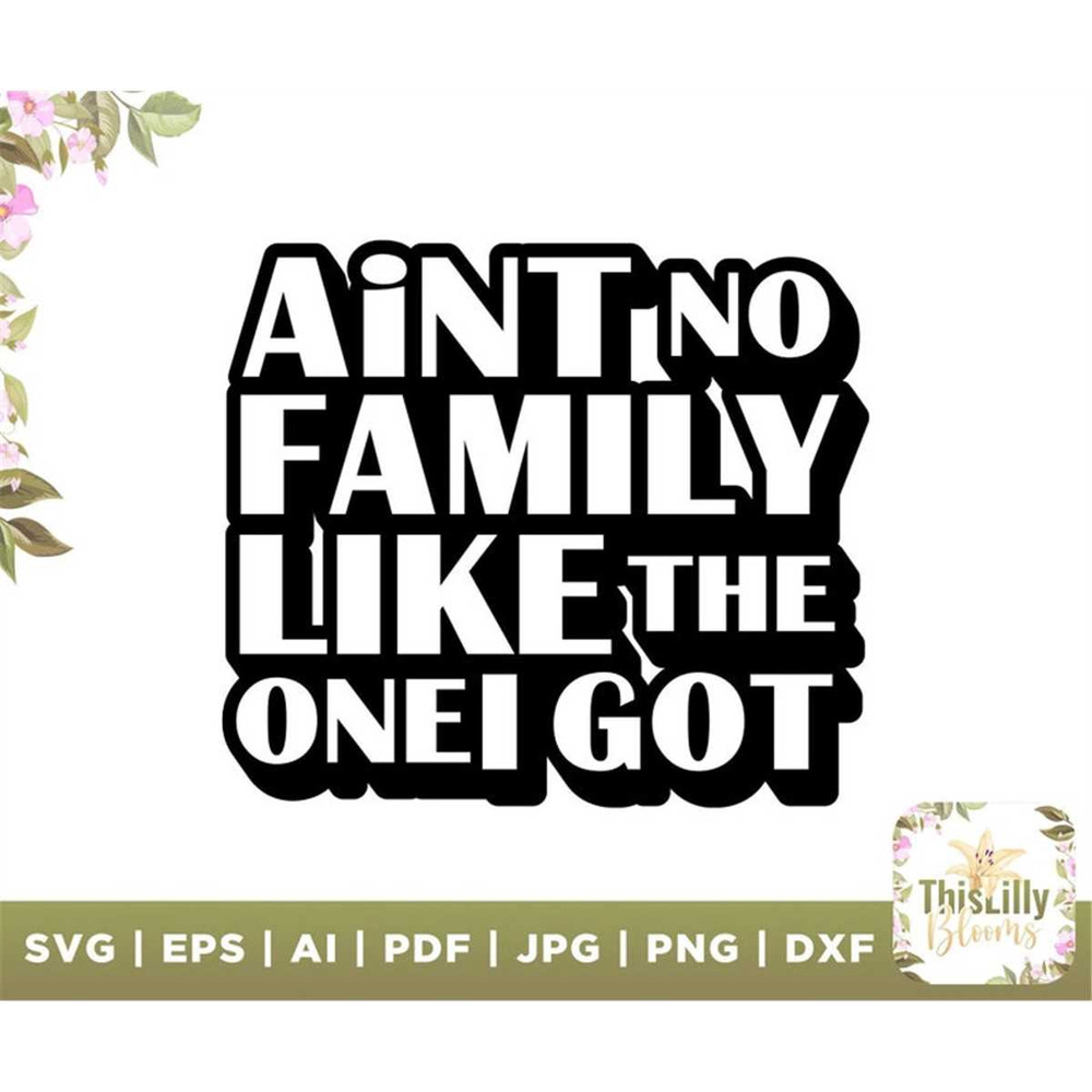 MR-277202315411-aint-no-family-like-the-one-got-tshirt-design-great-image-1.jpg