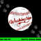 Baseball Washington DC Team, Love Baseball National Pastime png, sublimation copy.jpg