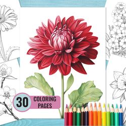 Flower Coloring Pages, 30 Printable PDF Pages for Adults and Kids, Grayscale Coloring Page, Instant Download