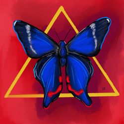 blue butterfly on red background art print original painting wall decor