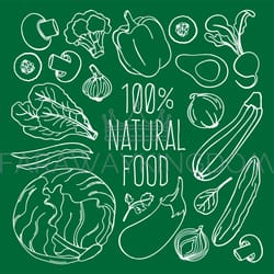 raw food vegetarian cuisine menu vector illustration set