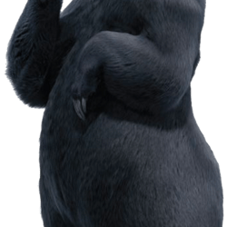 bears svg, brave svg, merida png, princess svg, princess merida png, princess merida birthday, brave printable