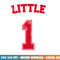 Football Shirt Big Little Sorority Reveal Little Sister png, sublimation copy.jpg