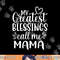 My Greatest Blessings Call Me Mama Mother Mom png, sublimation copy.jpg