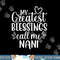 My Greatest Blessings Call Me Nani India Indian Grandma png, sublimation copy.jpg