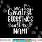 My Greatest Blessings Call Me Nani India Indian Grandma png, sublimation copy.jpg