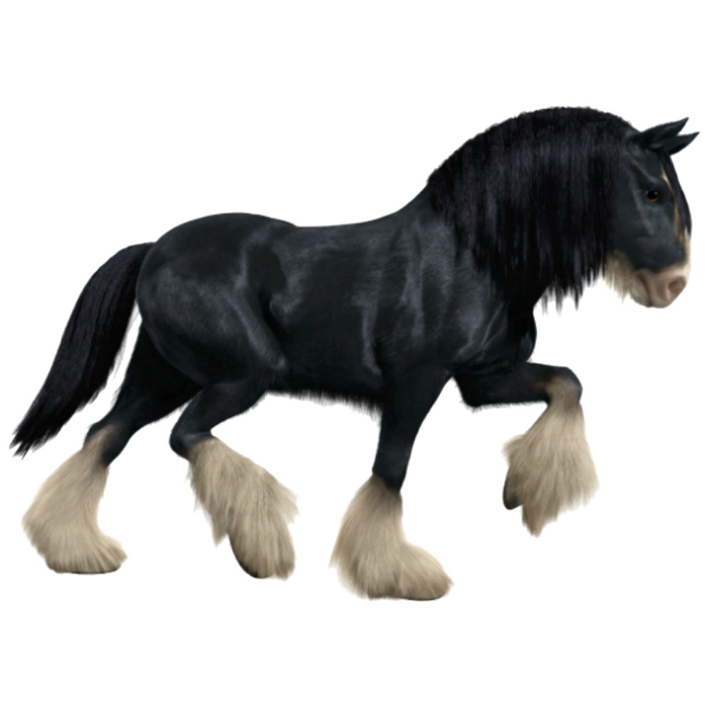 Horse (1).png