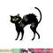 Black Cat Halloween - Black Cats png,sublimation copy.jpg