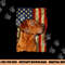 Foxred Labrador Retriever US Flag Fox Red Labrador Dog Lover png, sublimation copy.jpg