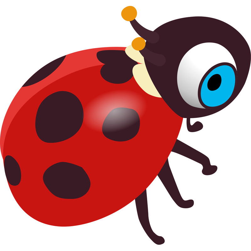 Ladybug 2.png
