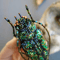 realistic bug 3d beetle brooch helloween gift