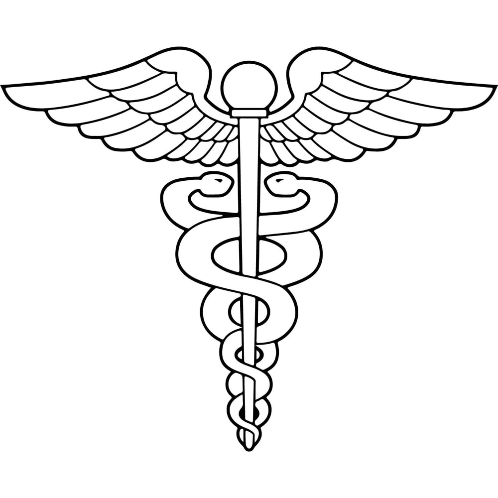 USCG Health Services Technician vector file.jpg