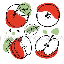 RED APPLE Delicious Fruit Sketch Style Vector Illustration Set