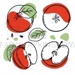 red apple delicious fruit sketch style vector illustration set