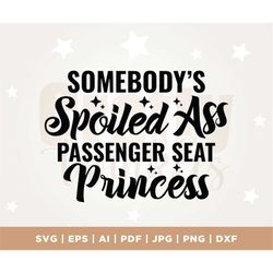 Somebody's Spoiled Ass Passenger Seat Princess svg, Sublimation Design, Svg Cutting File, Somebody's Png, Retro Png, Wif