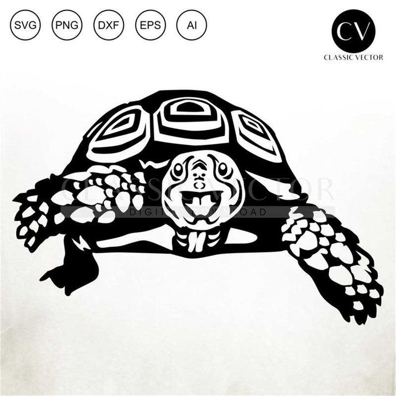 MR-317202383620-cute-tortoise-svg-tortoise-png-turtle-svg-turtle-png-image-1.jpg