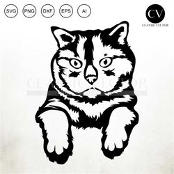 british shorthair svg - peeking cat svg