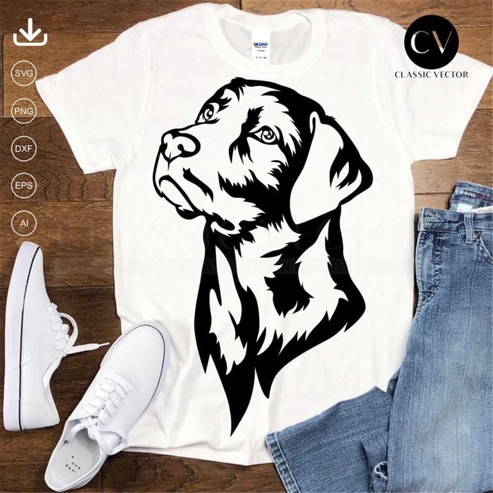 MR-317202310232-labrador-retriver-head-svg-labrador-portrait-svg-image-1.jpg