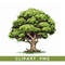 MR-3172023101215-tree-clipart-png-forest-clipart-landscape-art-png-image-1.jpg