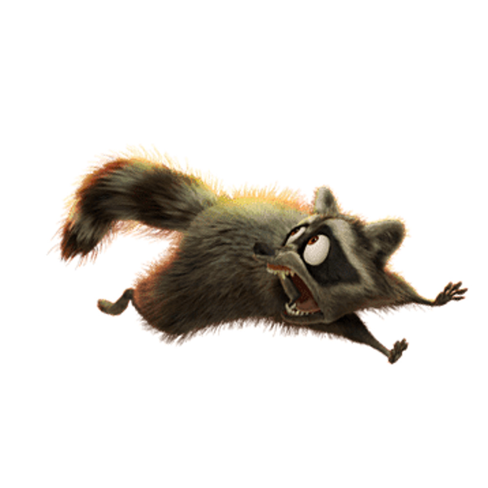 Racoon.png