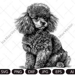 Poodle Svg, Poodle Clipart, Poodle Png, Poodle Head, Poodle Cut Files For Cricut , Poodle Silhouette, Dog Silhouette