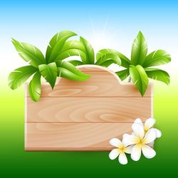 frames & invites moana png, moana princess disney png, baby moana vector design, moana holding leaf, digital download
