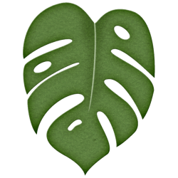 leaf png, moana png, moana princess disney png, baby moana vector design, moana holding leaf, digital download