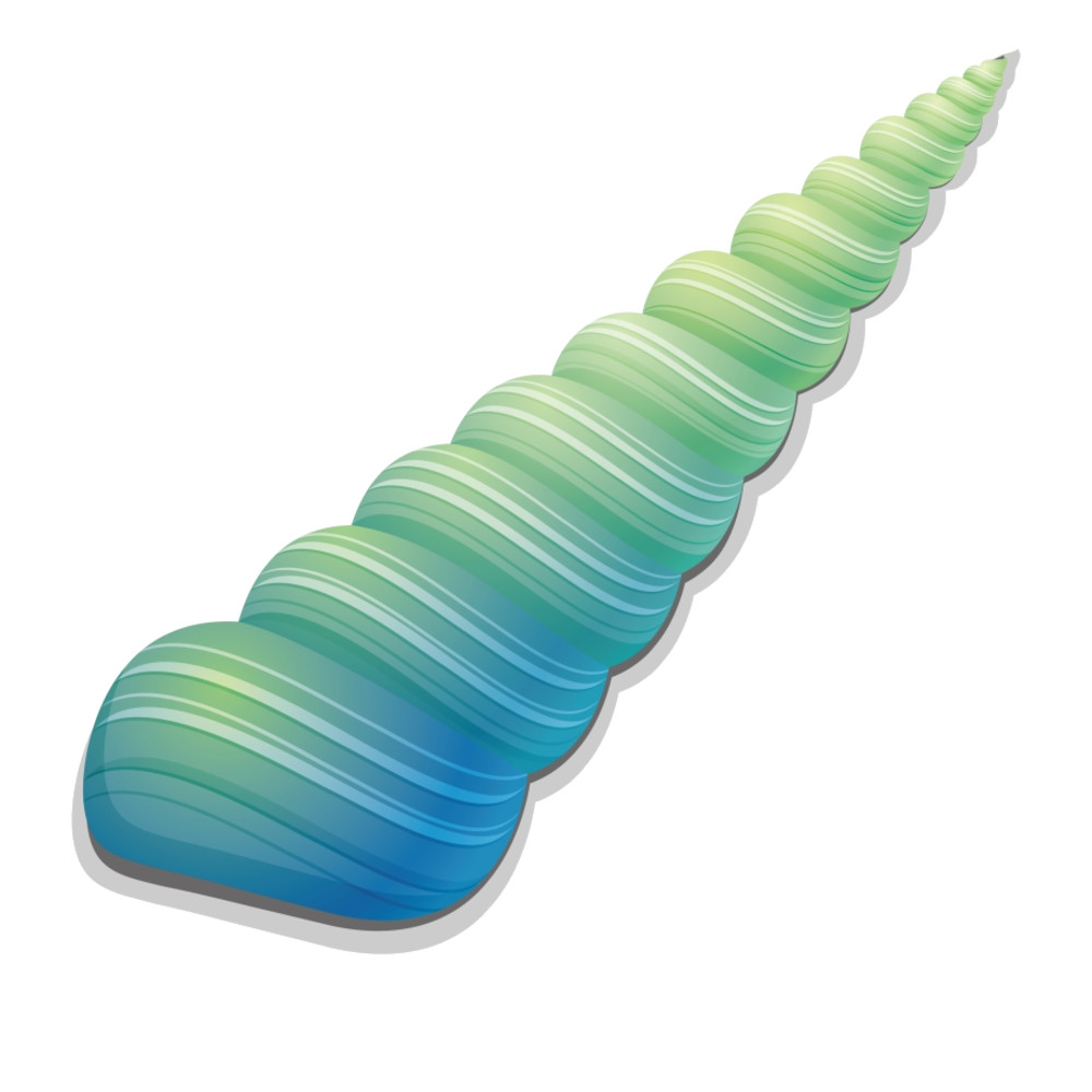 Seashell (4).png