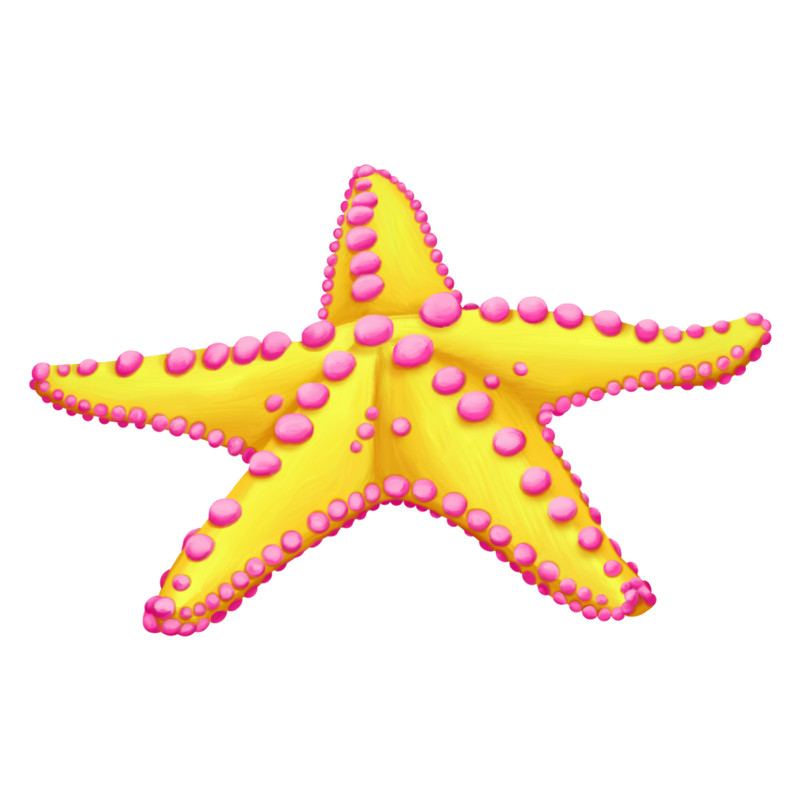 Starfish (6).png