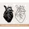 MR-31720231654-anatomical-heart-svg-heart-svg-nurse-life-medical-doctor-image-1.jpg