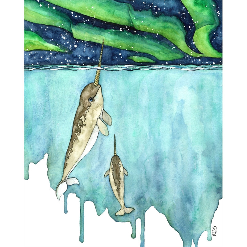 MR-317202317240-watercolor-painting-narwhal-painting-narwhal-narwhal-art-image-1.jpg