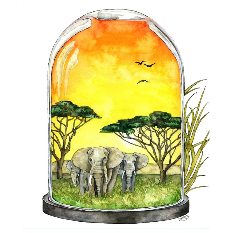 MR-317202317259-watercolor-painting-elephant-painting-savannah-african-image-1.jpg